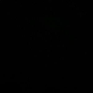 Meet your Posher, Cara